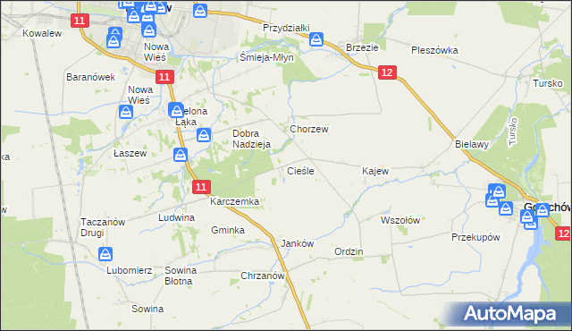 mapa Cieśle gmina Gołuchów, Cieśle gmina Gołuchów na mapie Targeo