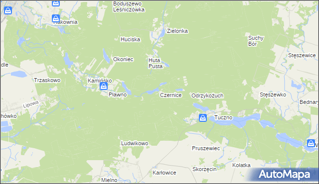 mapa Czernice gmina Murowana Goślina, Czernice gmina Murowana Goślina na mapie Targeo