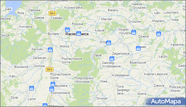 mapa Dąbie gmina Raciechowice, Dąbie gmina Raciechowice na mapie Targeo