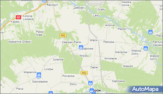 mapa Dąbrowa gmina Popów, Dąbrowa gmina Popów na mapie Targeo