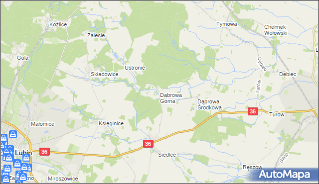 mapa Dąbrowa Górna gmina Lubin, Dąbrowa Górna gmina Lubin na mapie Targeo