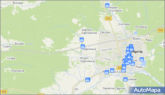 mapa Dąbrowica gmina Biłgoraj, Dąbrowica gmina Biłgoraj na mapie Targeo