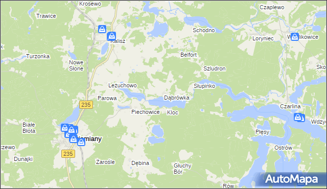 mapa Dąbrówka gmina Dziemiany, Dąbrówka gmina Dziemiany na mapie Targeo
