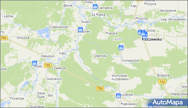 mapa Dąbrowy gmina Kluczewsko, Dąbrowy gmina Kluczewsko na mapie Targeo