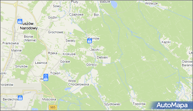 mapa Dębiaki, Dębiaki na mapie Targeo