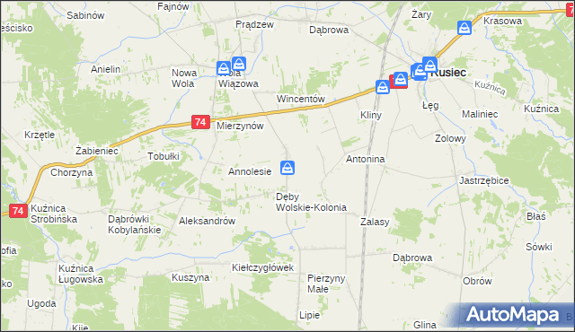 mapa Dęby Wolskie, Dęby Wolskie na mapie Targeo