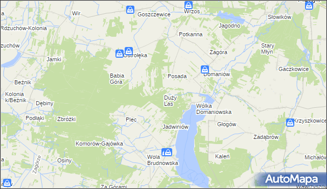 mapa Duży Las gmina Przytyk, Duży Las gmina Przytyk na mapie Targeo