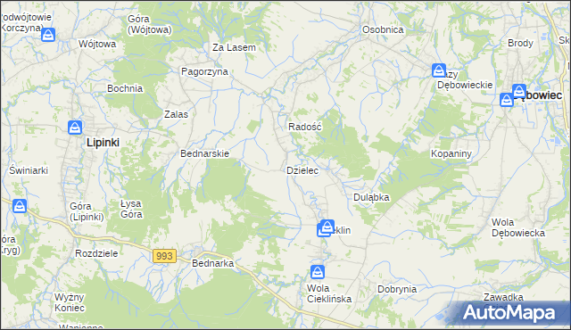 mapa Dzielec, Dzielec na mapie Targeo