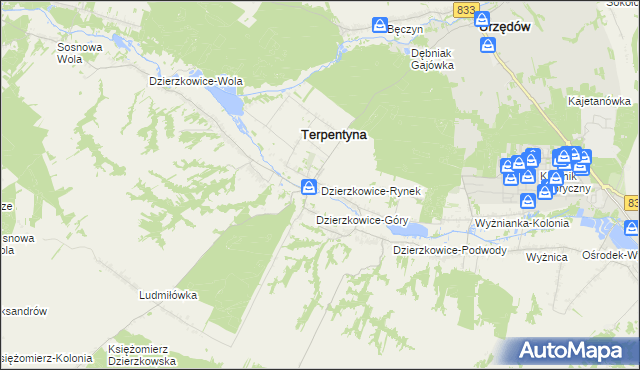 mapa Dzierzkowice-Rynek, Dzierzkowice-Rynek na mapie Targeo