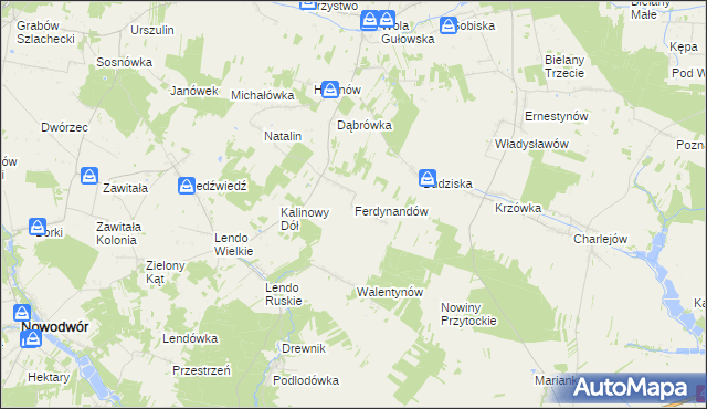 mapa Ferdynandów gmina Adamów, Ferdynandów gmina Adamów na mapie Targeo