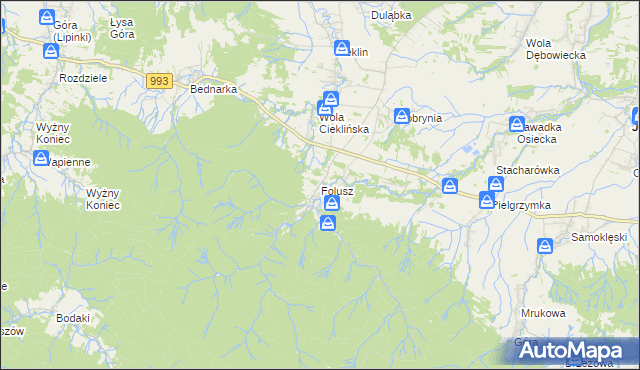 mapa Folusz gmina Dębowiec, Folusz gmina Dębowiec na mapie Targeo