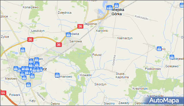 mapa Folusz gmina Rawicz, Folusz gmina Rawicz na mapie Targeo