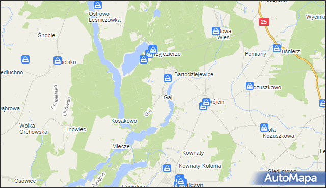 mapa Gaj gmina Jeziora Wielkie, Gaj gmina Jeziora Wielkie na mapie Targeo