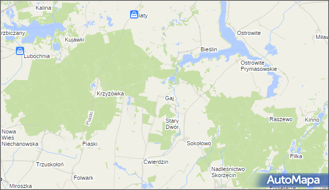 mapa Gaj gmina Witkowo, Gaj gmina Witkowo na mapie Targeo
