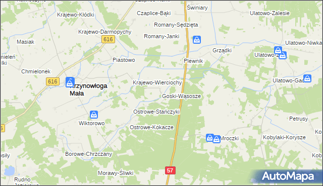 mapa Goski-Wąsosze, Goski-Wąsosze na mapie Targeo