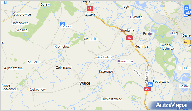 mapa Grocholub, Grocholub na mapie Targeo