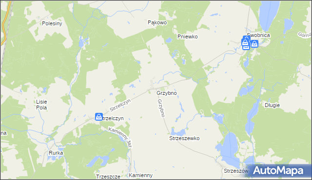 mapa Grzybno gmina Chojna, Grzybno gmina Chojna na mapie Targeo