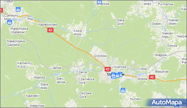 mapa Grzybów gmina Stąporków, Grzybów gmina Stąporków na mapie Targeo