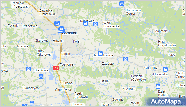 mapa Januszkowice gmina Brzostek, Januszkowice gmina Brzostek na mapie Targeo