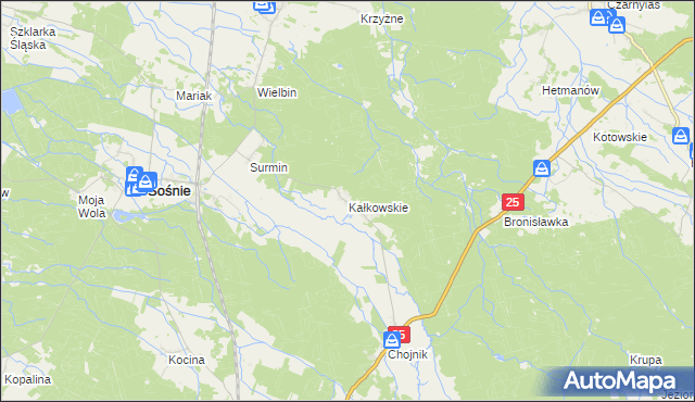 mapa Kałkowskie, Kałkowskie na mapie Targeo