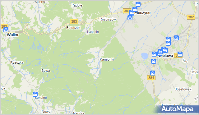 mapa Kamionki gmina Pieszyce, Kamionki gmina Pieszyce na mapie Targeo