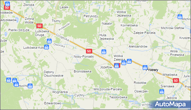 mapa Karolew gmina Pniewy, Karolew gmina Pniewy na mapie Targeo