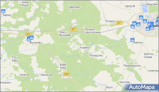 mapa Kopanki gmina Opalenica, Kopanki gmina Opalenica na mapie Targeo