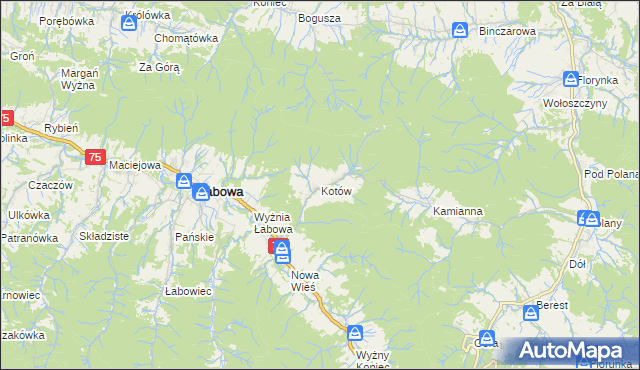 mapa Kotów gmina Łabowa, Kotów gmina Łabowa na mapie Targeo