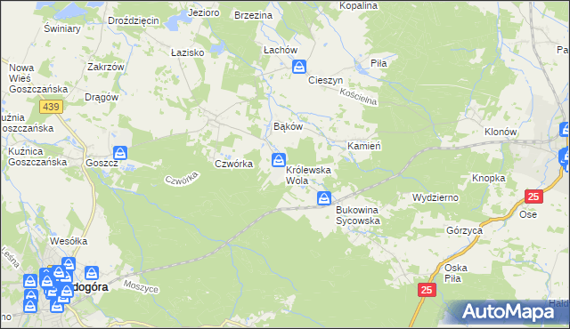 mapa Królewska Wola gmina Międzybórz, Królewska Wola gmina Międzybórz na mapie Targeo