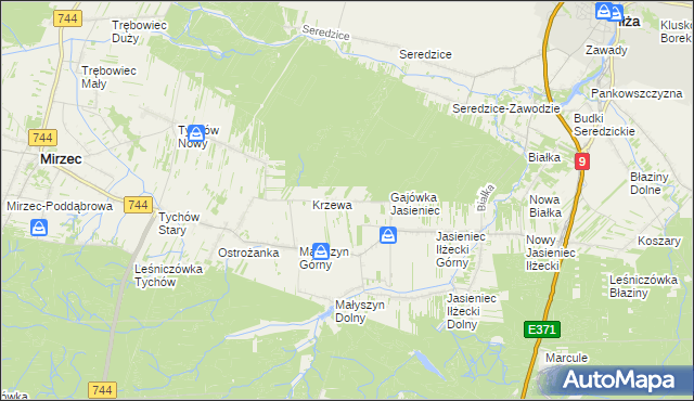 mapa Krzewa gmina Mirzec, Krzewa gmina Mirzec na mapie Targeo