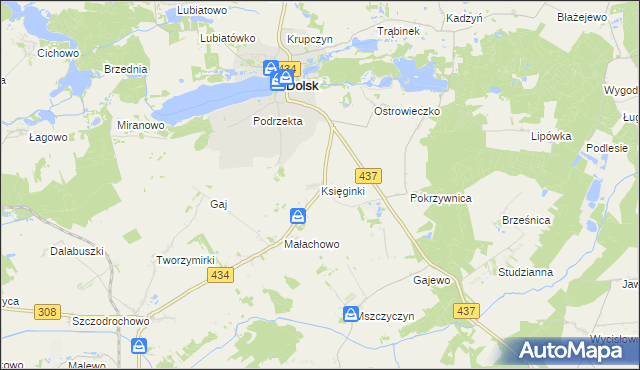 mapa Księginki gmina Dolsk, Księginki gmina Dolsk na mapie Targeo