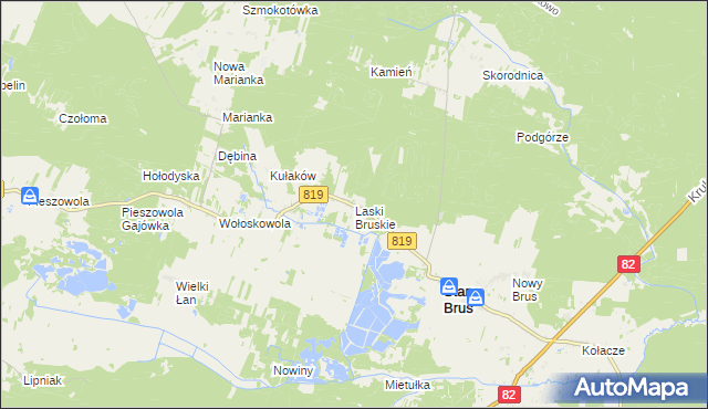 mapa Laski Bruskie, Laski Bruskie na mapie Targeo