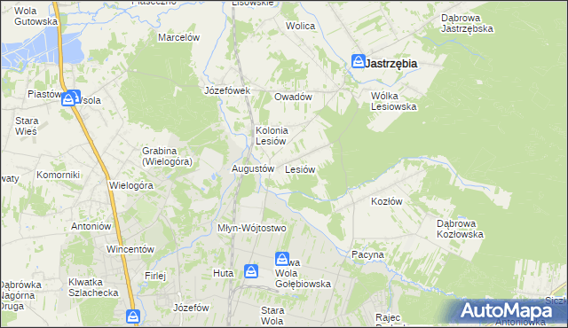 mapa Lesiów, Lesiów na mapie Targeo