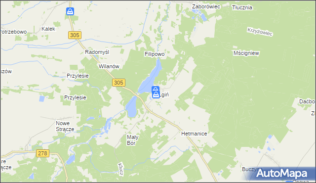 mapa Lgiń, Lgiń na mapie Targeo