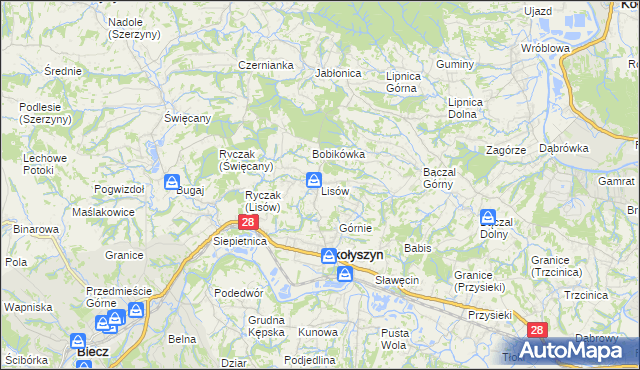 mapa Lisów gmina Skołyszyn, Lisów gmina Skołyszyn na mapie Targeo