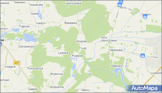 mapa Ługi gmina Książ Wielkopolski, Ługi gmina Książ Wielkopolski na mapie Targeo