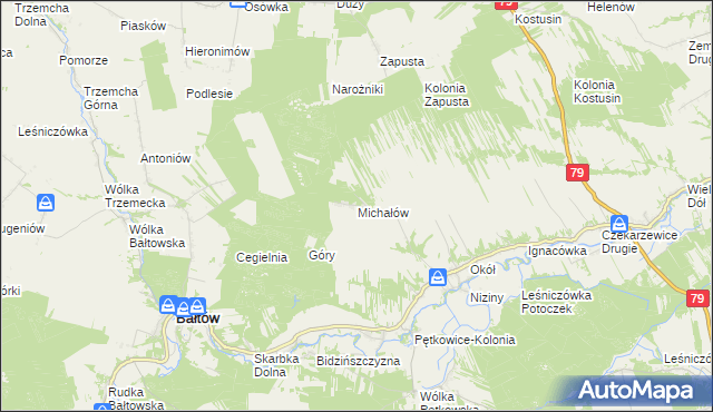 mapa Michałów gmina Bałtów, Michałów gmina Bałtów na mapie Targeo