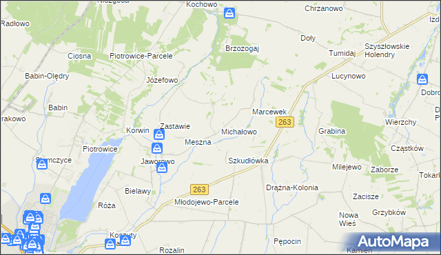 mapa Michałowo gmina Słupca, Michałowo gmina Słupca na mapie Targeo