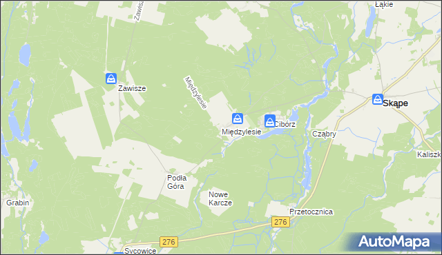 mapa Międzylesie gmina Skąpe, Międzylesie gmina Skąpe na mapie Targeo