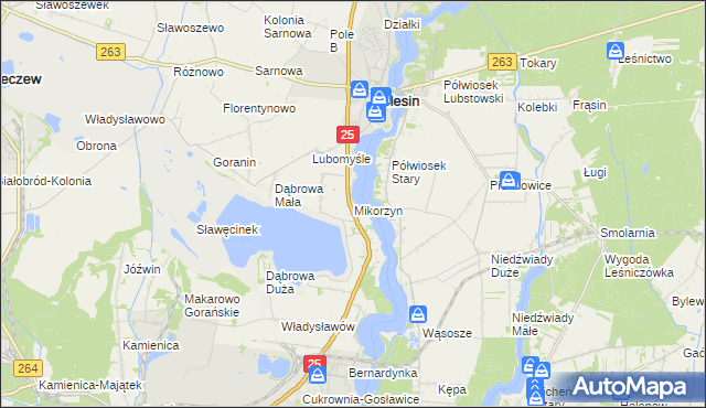 mapa Mikorzyn gmina Ślesin, Mikorzyn gmina Ślesin na mapie Targeo