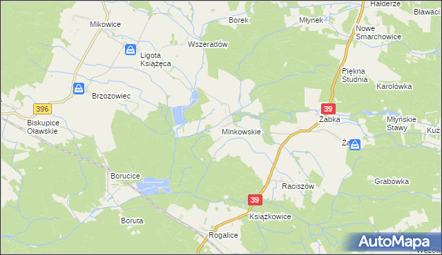 mapa Minkowskie, Minkowskie na mapie Targeo