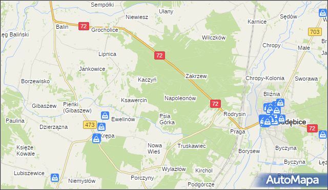 mapa Napoleonów gmina Poddębice, Napoleonów gmina Poddębice na mapie Targeo
