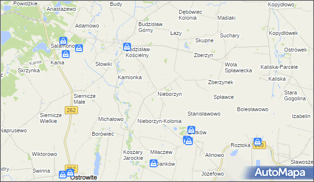 mapa Nieborzyn gmina Kleczew, Nieborzyn gmina Kleczew na mapie Targeo