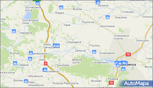 mapa Niedźwice, Niedźwice na mapie Targeo