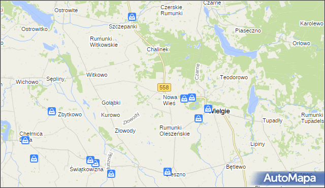 mapa Nowa Wieś gmina Wielgie, Nowa Wieś gmina Wielgie na mapie Targeo