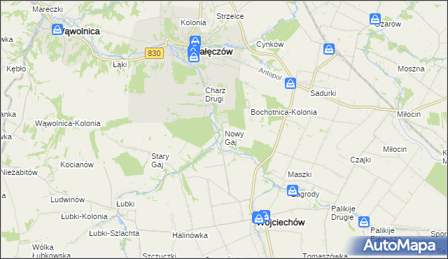 mapa Nowy Gaj gmina Wojciechów, Nowy Gaj gmina Wojciechów na mapie Targeo