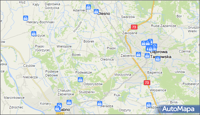 mapa Oleśnica gmina Olesno, Oleśnica gmina Olesno na mapie Targeo