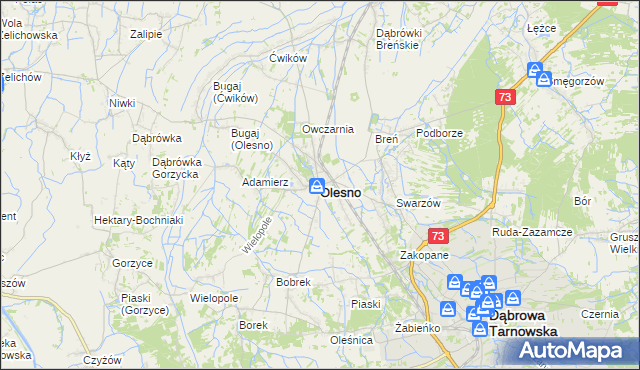 mapa Olesno powiat dąbrowski, Olesno powiat dąbrowski na mapie Targeo