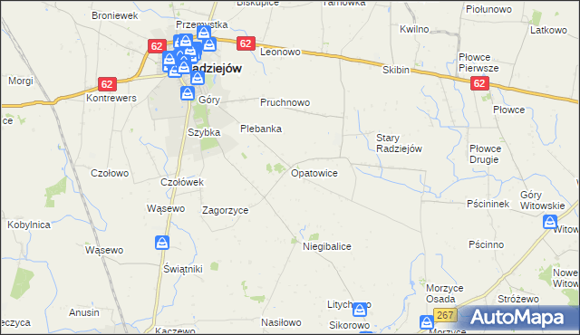 mapa Opatowice gmina Radziejów, Opatowice gmina Radziejów na mapie Targeo