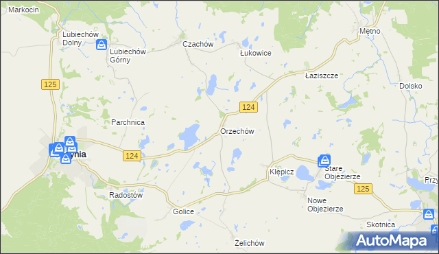 mapa Orzechów gmina Cedynia, Orzechów gmina Cedynia na mapie Targeo